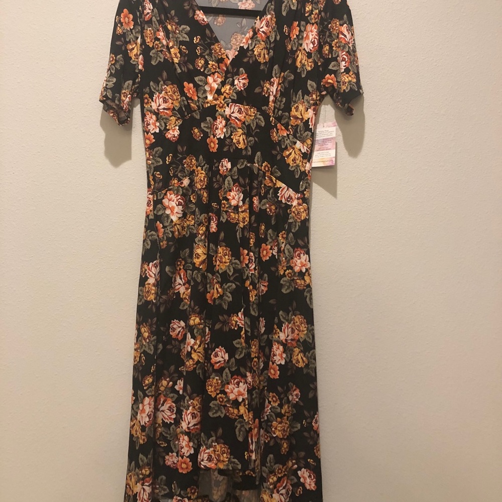 Paisley Raye dress with pockets BNWT size large
